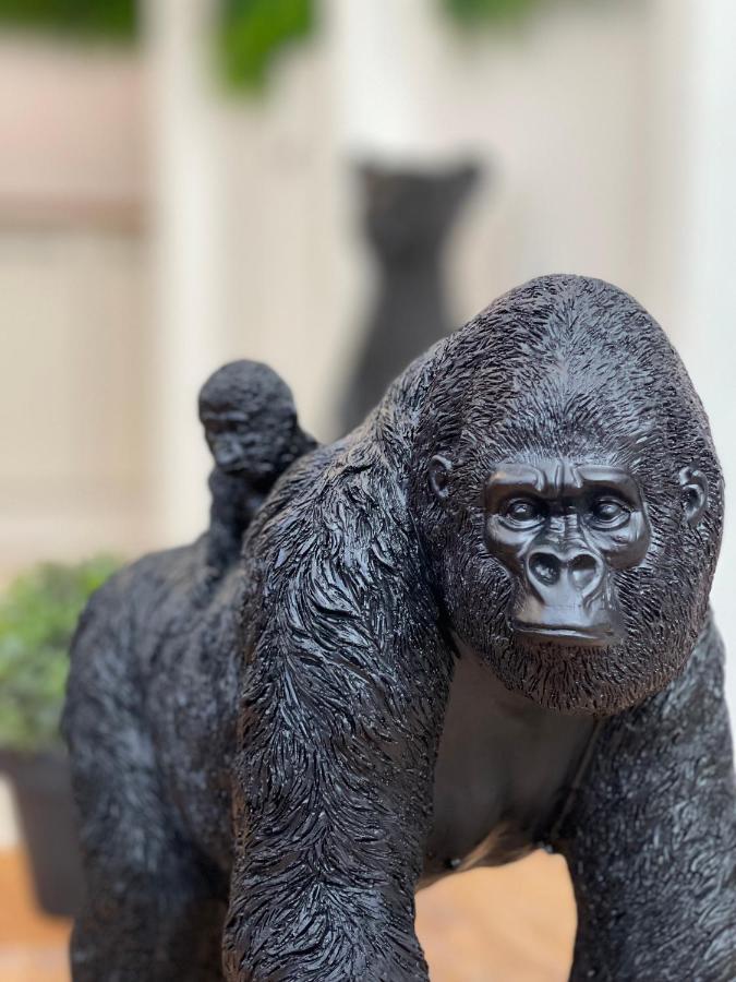 Tous'O'Zoo, Au Coeur Du Centre-Ville Saint-Aignan  Ngoại thất bức ảnh