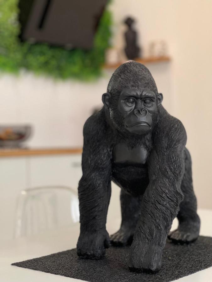 Tous'O'Zoo, Au Coeur Du Centre-Ville Saint-Aignan  Ngoại thất bức ảnh